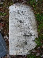 Findagrave  Alice Bradley