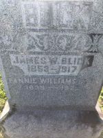 Findagrave  Fannie Williams Blick