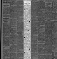 How To Live Without Work--Daniel Haller Delivers A Lecture_Telegraph 15 Jun 1888 Friday