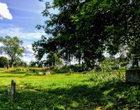 Mid-day SOAL First Cleanup Event @Lincoln Cemetery July 10 2021