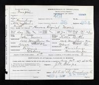 Pennsylvania, U.S., Birth Certificates, 1906-1911