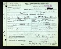 Pennsylvania, U.S., Birth Certificates, 1906-1911