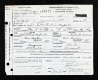 Pennsylvania, U.S., Birth Certificates, 1906-1911