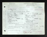 Pennsylvania, U.S., Birth Certificates, 1906-1911