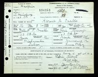 Pennsylvania, U.S., Birth Certificates, 1906-1911