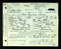 Pennsylvania, U.S., Birth Certificates, 1906-1911