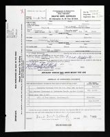 Pennsylvania, U.S., Birth Certificates, 1906-1911