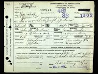 Pennsylvania, U.S., Birth Certificates, 1906-1911