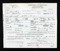 Pennsylvania, U.S., Birth Certificates, 1906-1911