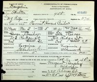 Pennsylvania, U.S., Birth Certificates, 1906-1911