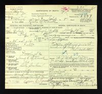 Pennsylvania, U.S., Death Certificates, 1906-1967