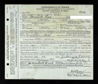 Virginia, U.S., Birth Records, 1912-2015, Delayed Birth Records, 1721-1911